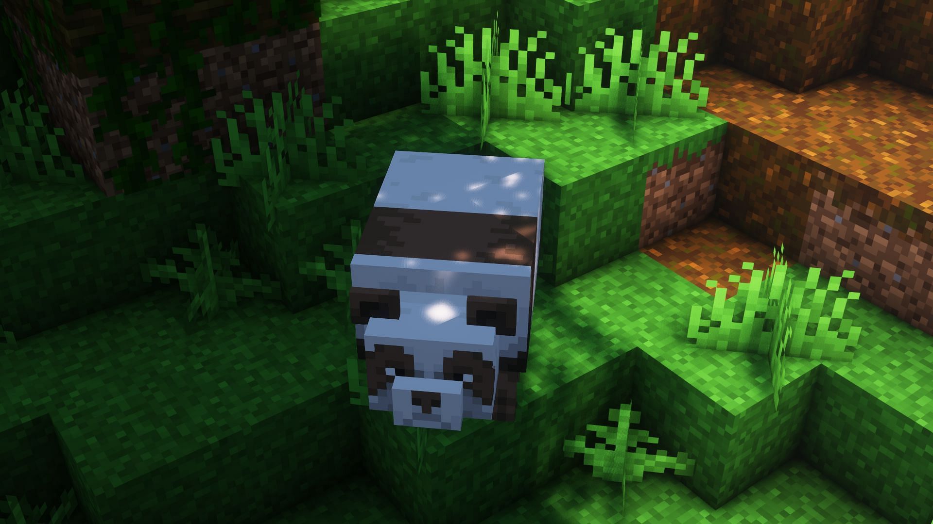 A brown panda (Image via Mojang)